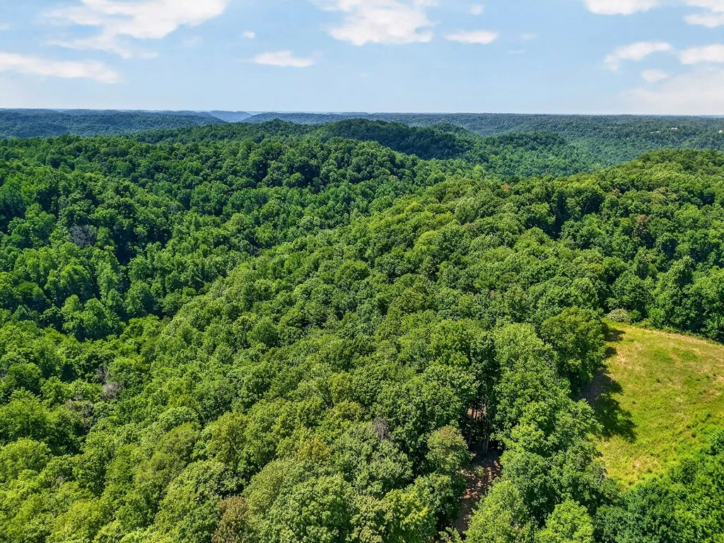 2926 Bryant Ridge Road Baxter TN 38544