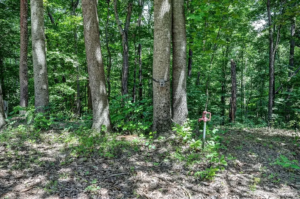 2926 Bryant Ridge Road Baxter TN 38544