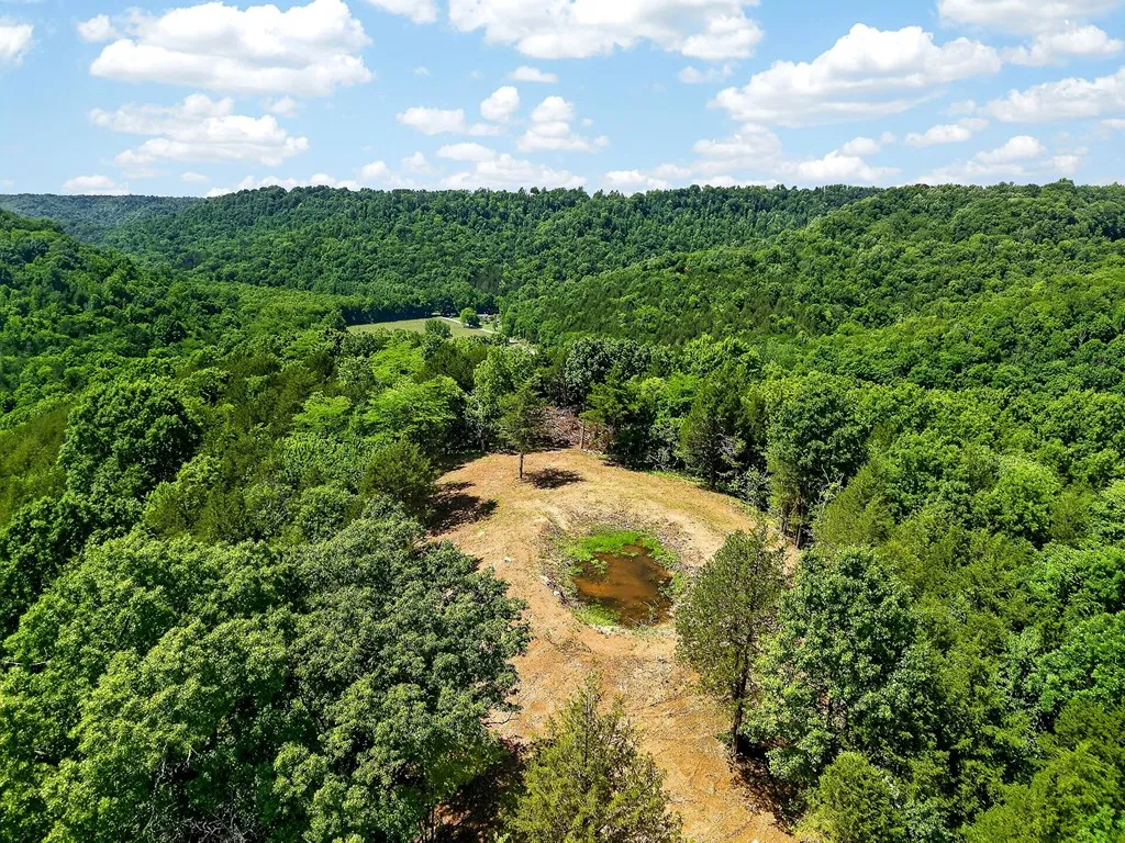 2926 Bryant Ridge Road Baxter TN 38544