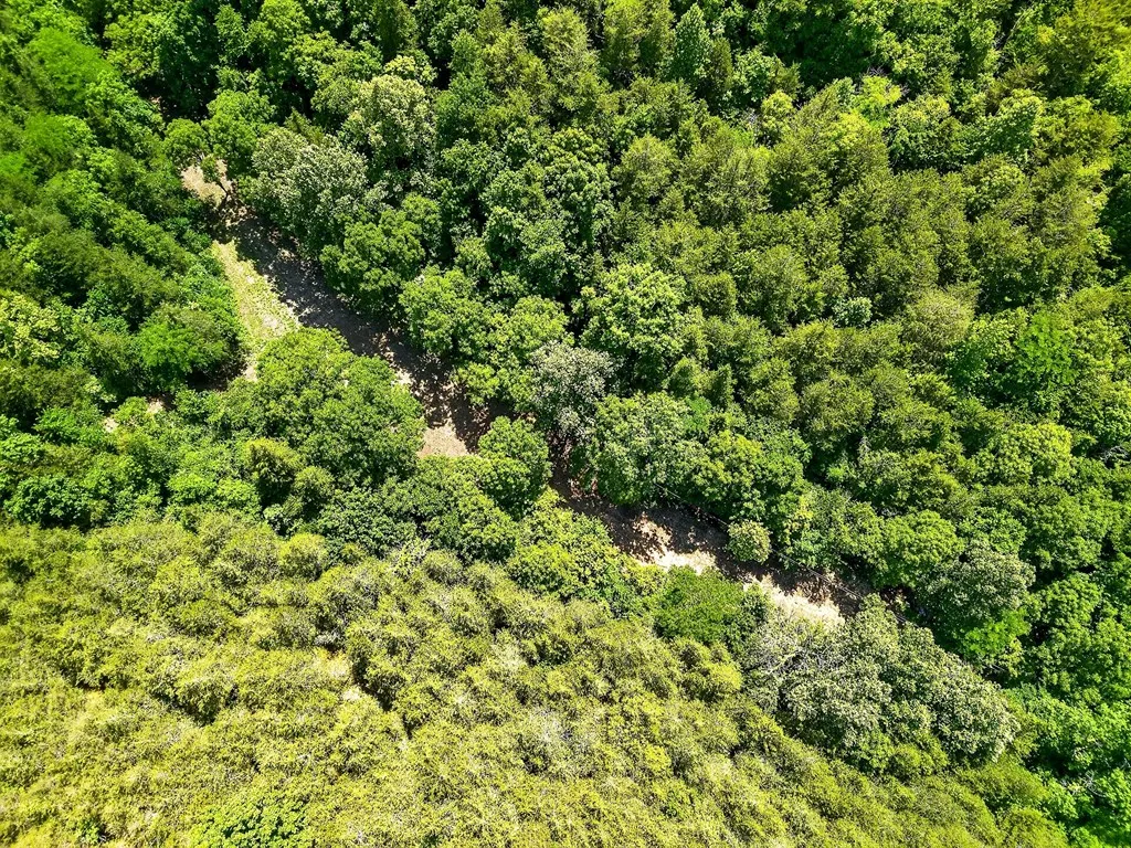2926 Bryant Ridge Road Baxter TN 38544