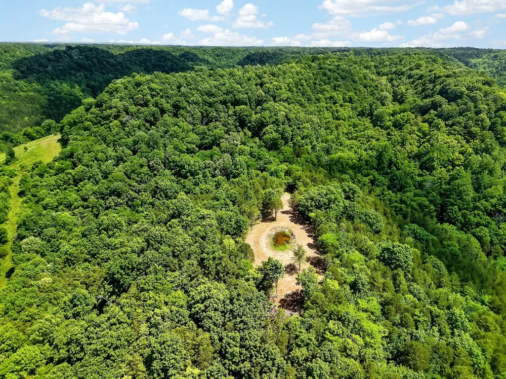 2926 Bryant Ridge Road Baxter TN 38544
