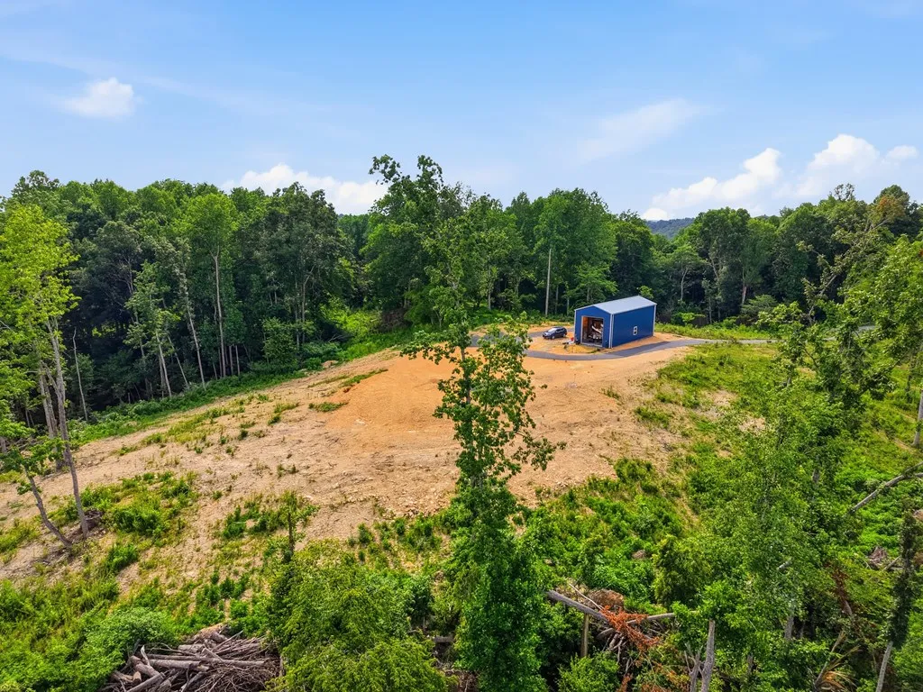 1610 Carrington Road Bloomington Springs TN 38545