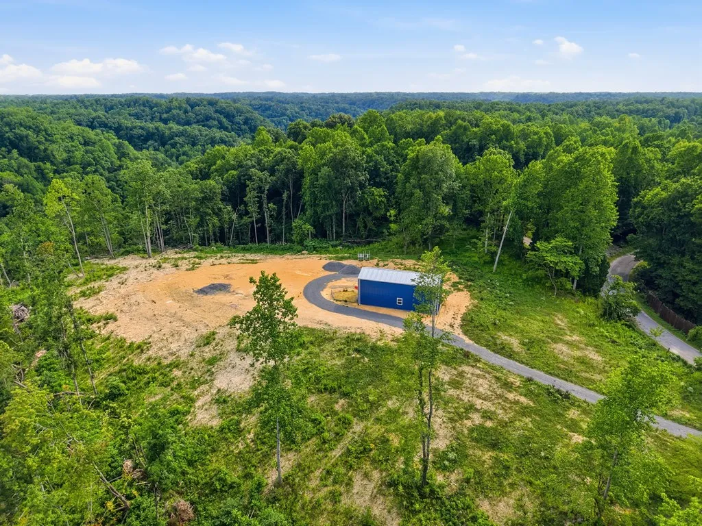 1610 Carrington Road Bloomington Springs TN 38545