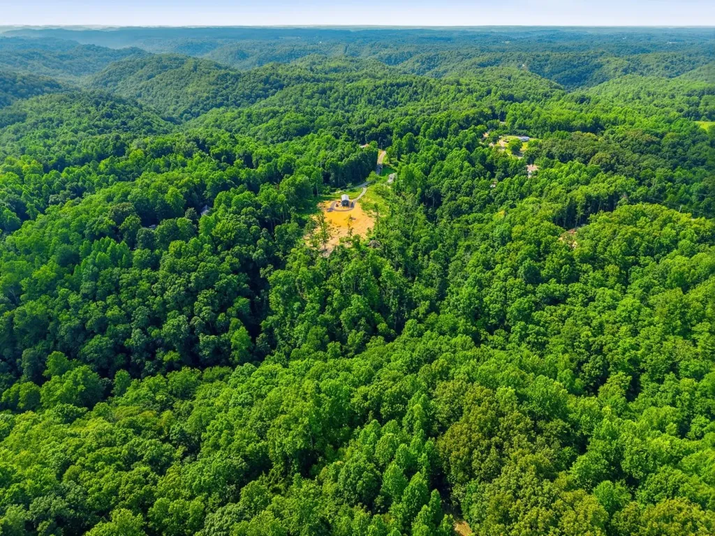 1610 Carrington Road Bloomington Springs TN 38545