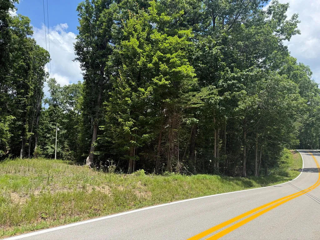 13.1 Ac Wilder Highway Wilder TN 38589