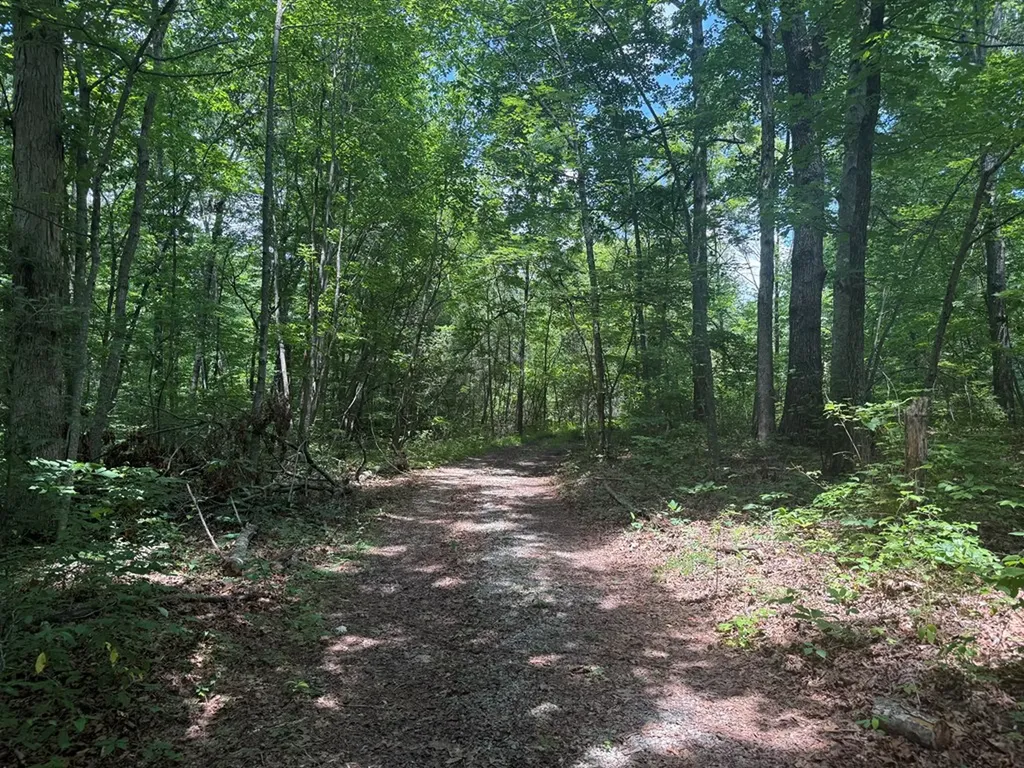13.1 Ac Wilder Highway Wilder TN 38589
