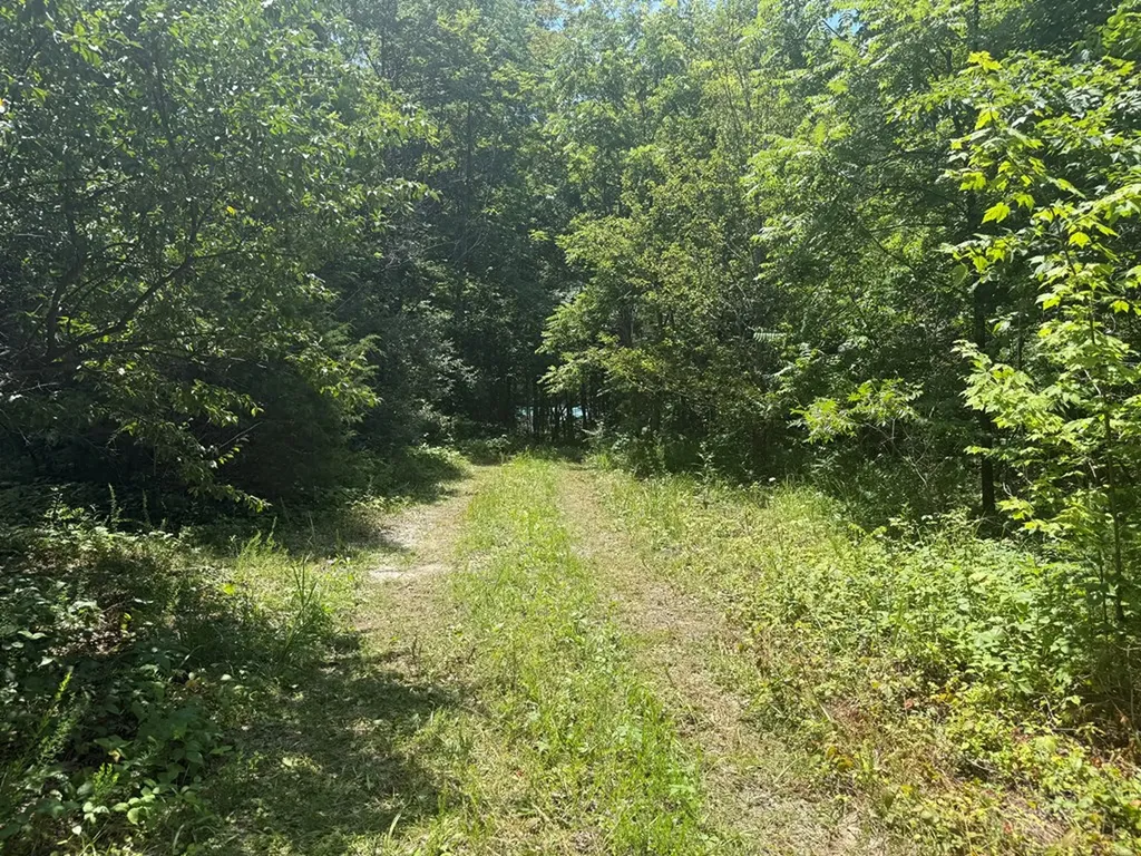 13.1 Ac Wilder Highway Wilder TN 38589