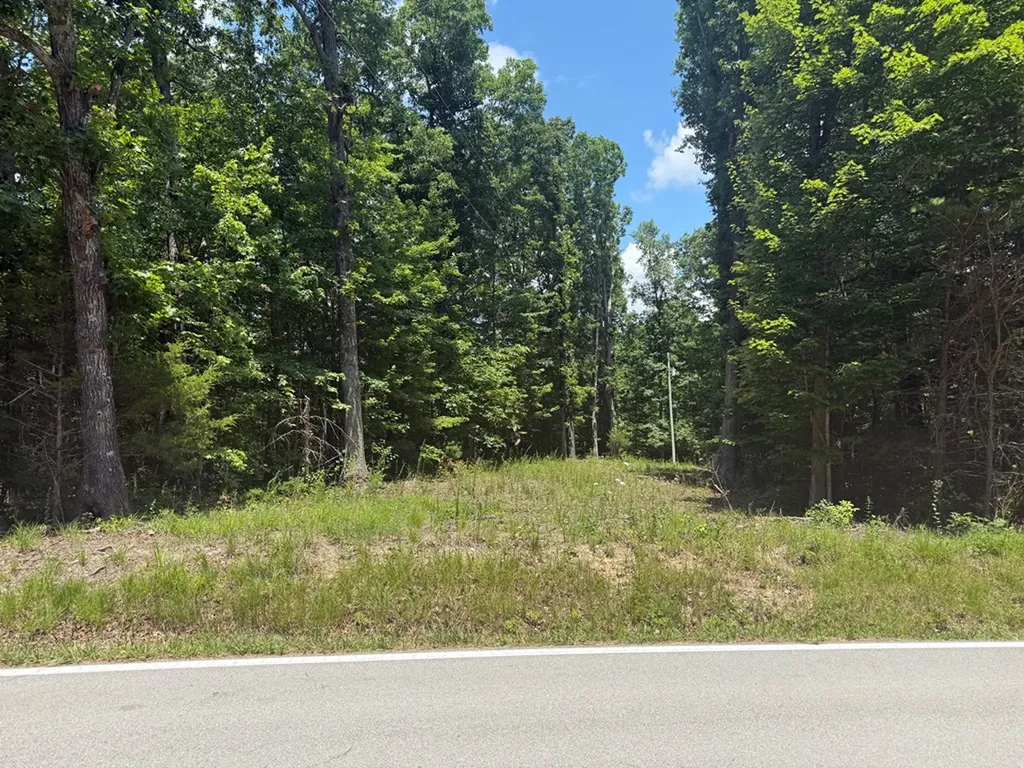 13.1 Ac Wilder Highway Wilder TN 38589
