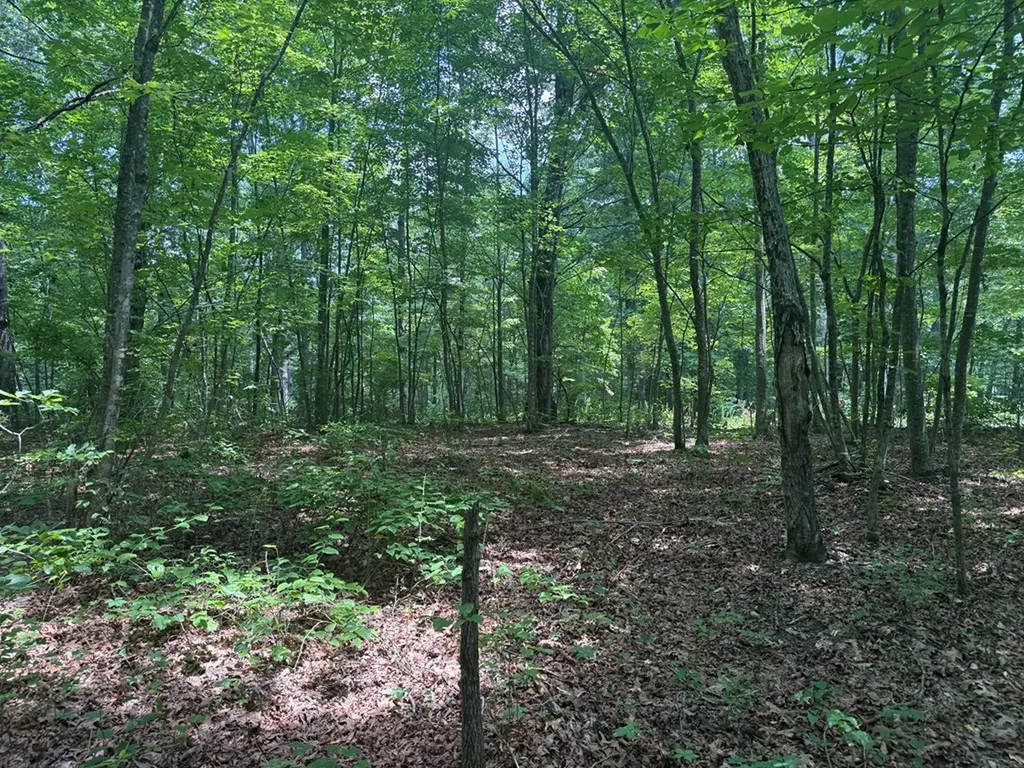 13.1 Ac Wilder Highway Wilder TN 38589