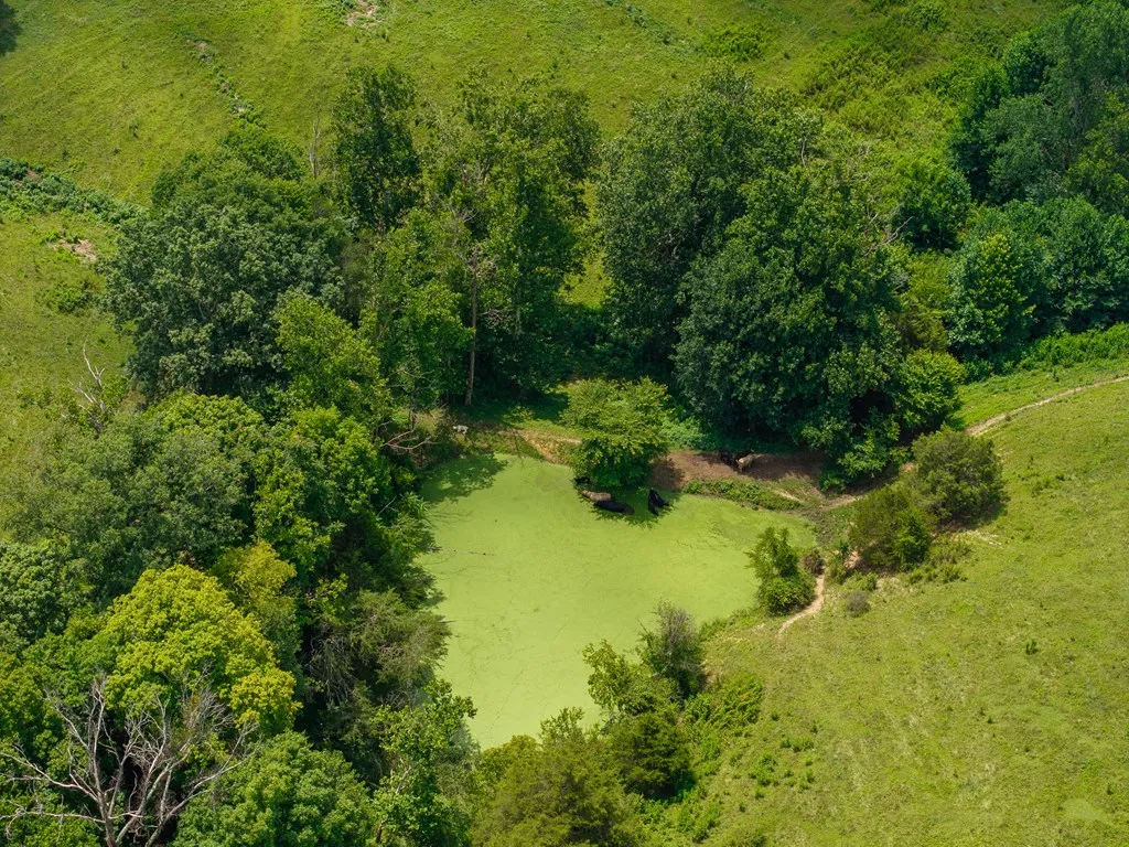 98AC Blackburn Fork Road Cookeville TN 38501