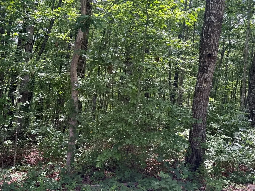 5 Ac Wilder Highway Crawford TN 38554