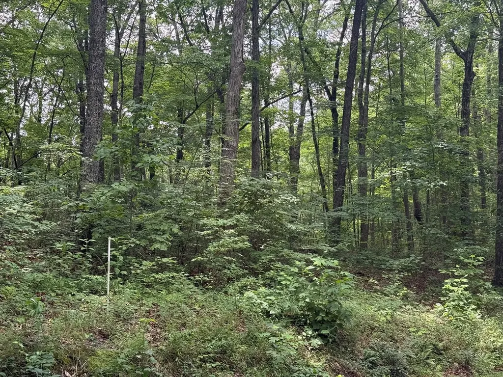 5 Ac Wilder Highway Crawford TN 38554