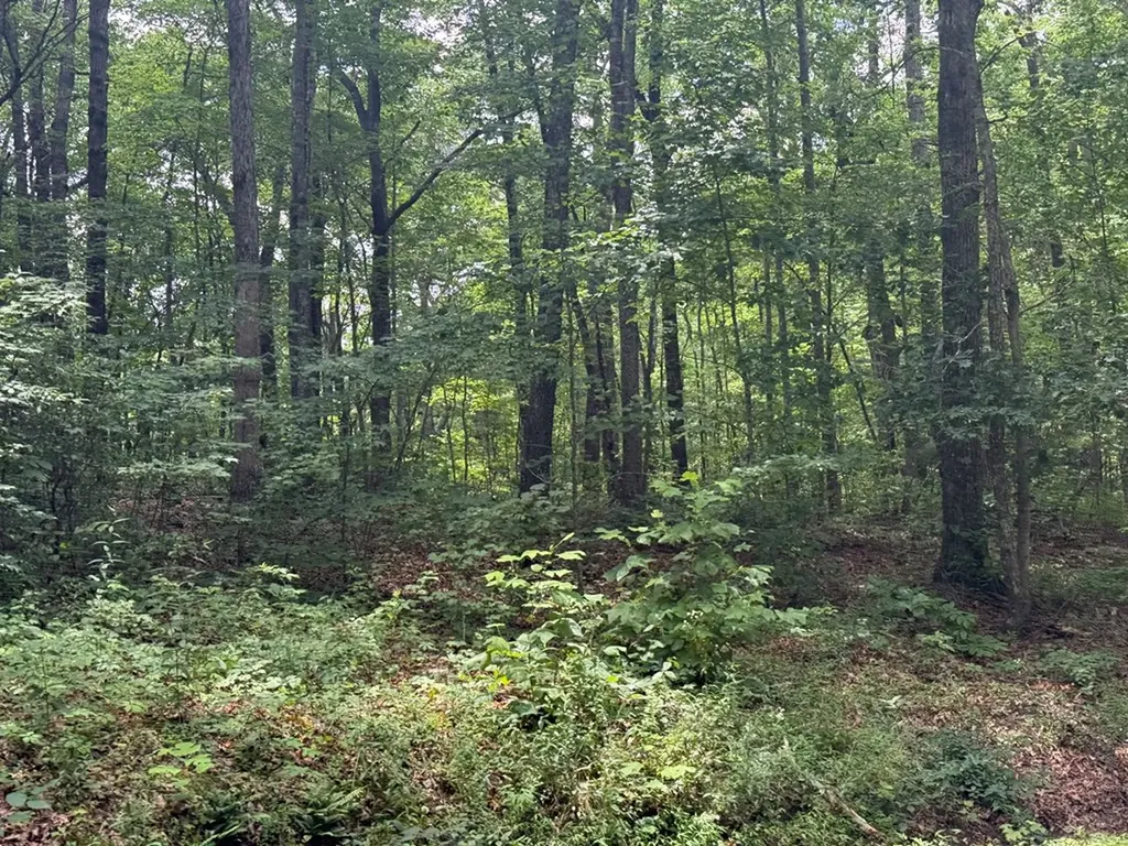 5 Ac Wilder Highway Crawford TN 38554