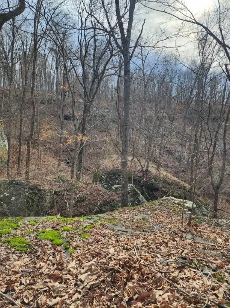 203 Crestview Lane Sparta TN 38583