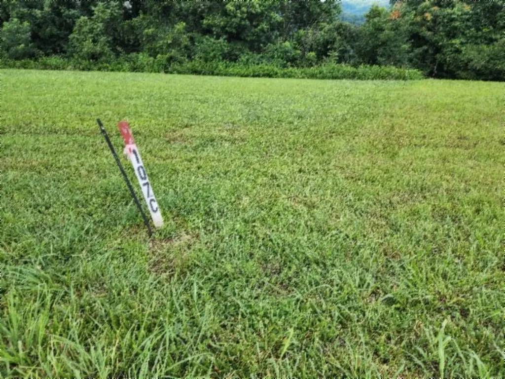 Lot 107c Sunfish Lane Hilham TN 38568