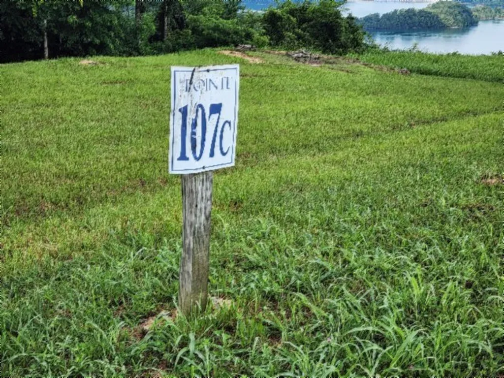 Lot 107c Sunfish Lane Hilham TN 38568