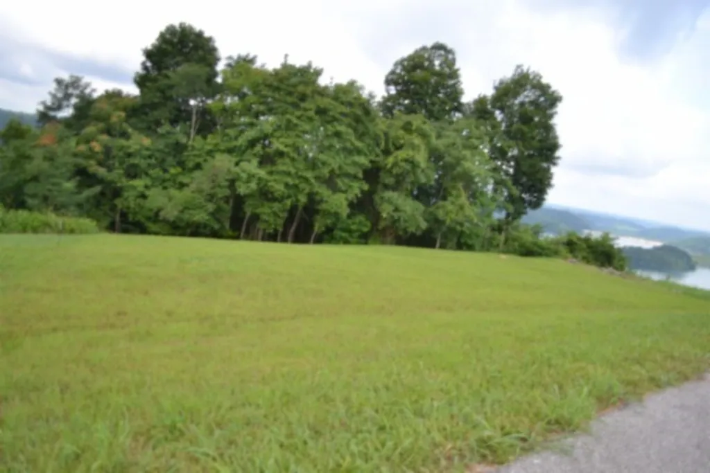 Lot 107c Sunfish Lane Hilham TN 38568