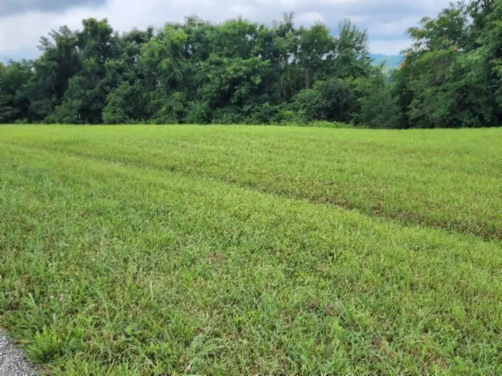 Lot 107c Sunfish Lane Hilham TN 38568