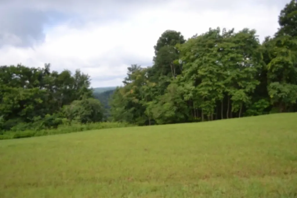 Lot 107c Sunfish Lane Hilham TN 38568