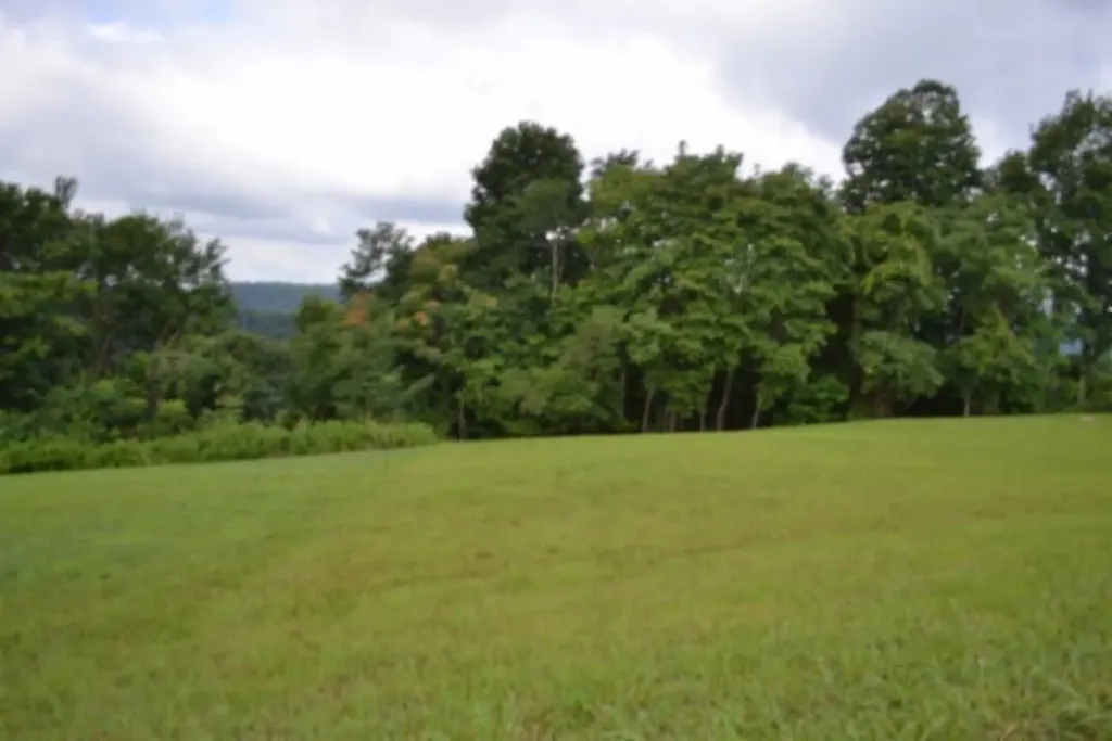 Lot 107c Sunfish Lane Hilham TN 38568