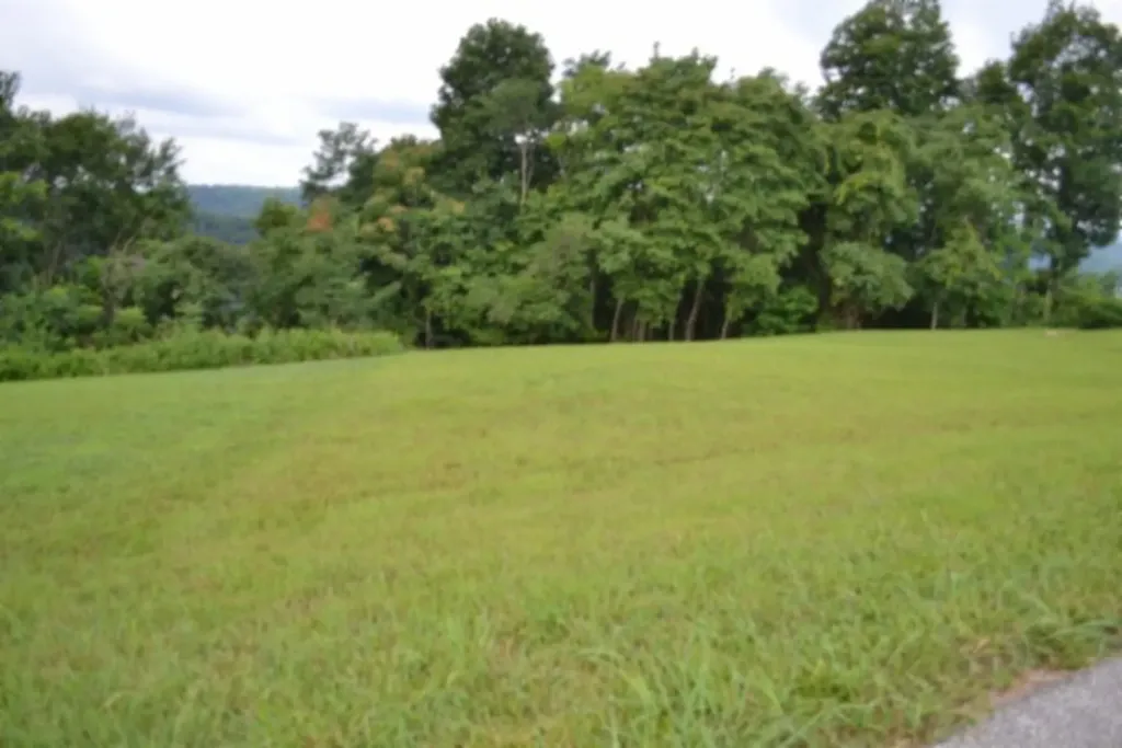 Lot 107c Sunfish Lane Hilham TN 38568