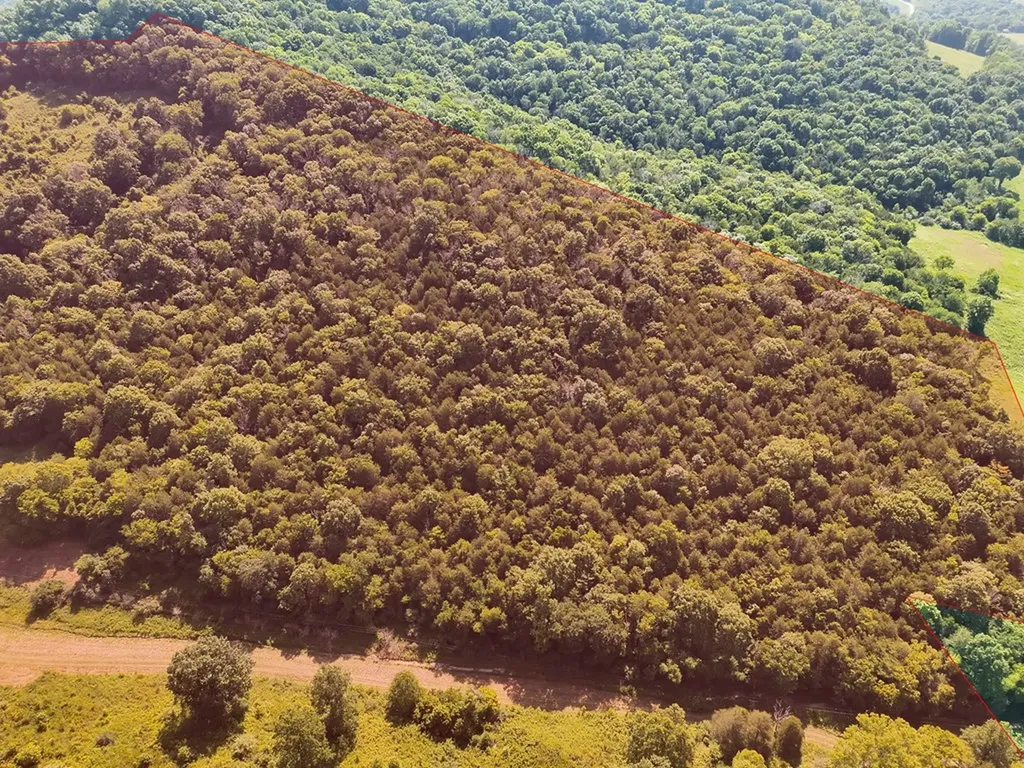 200 Rough Point Lane Whitleyville TN 38588