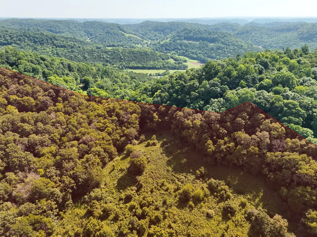 200 Rough Point Lane Whitleyville TN 38588