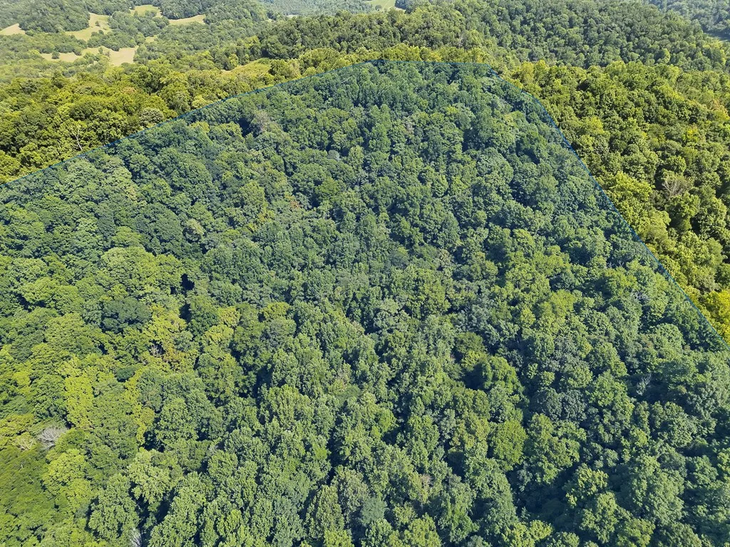 200 Rough Point Lane Whitleyville TN 38588