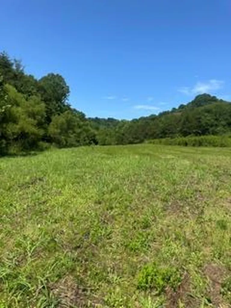 200 Rough Point Lane Whitleyville TN 38588