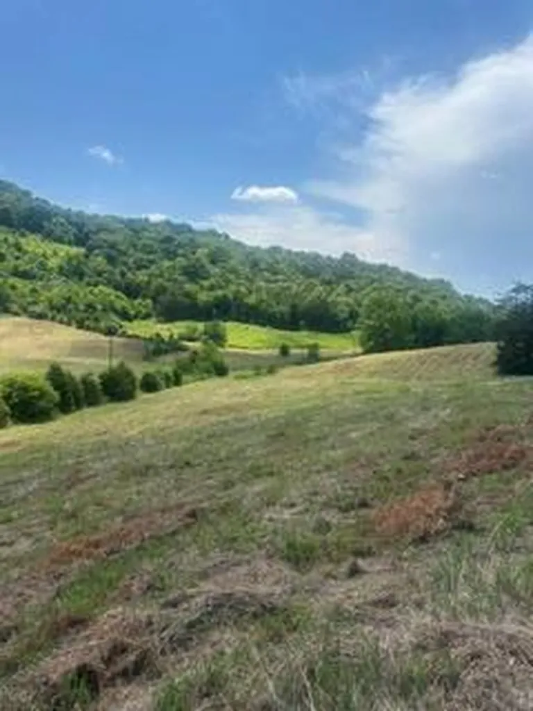 200 Rough Point Lane Whitleyville TN 38588