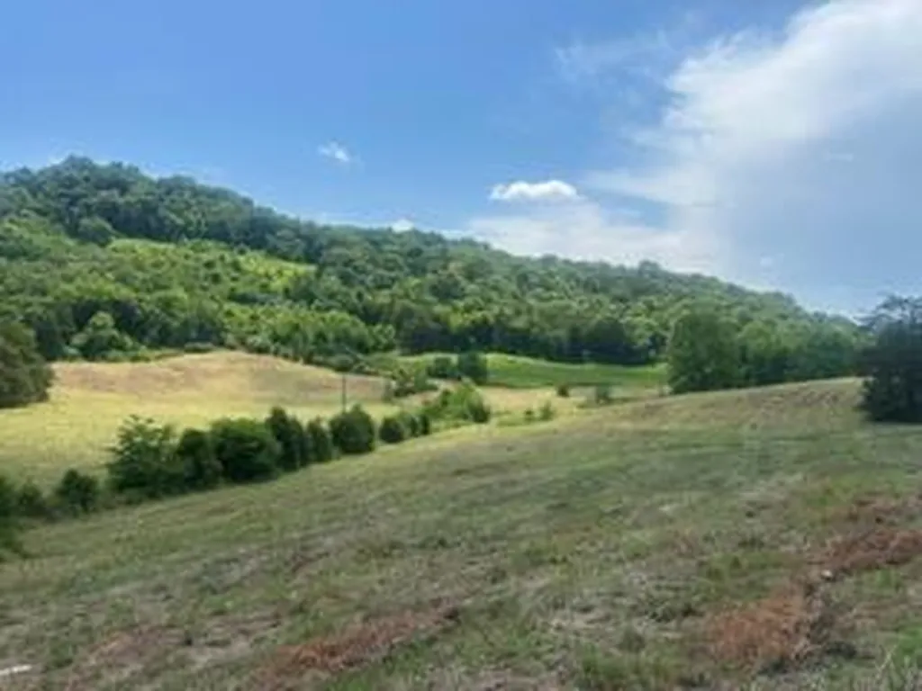 200 Rough Point Lane Whitleyville TN 38588