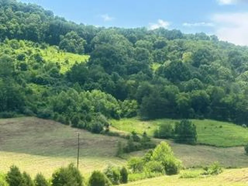 200 Rough Point Lane Whitleyville TN 38588