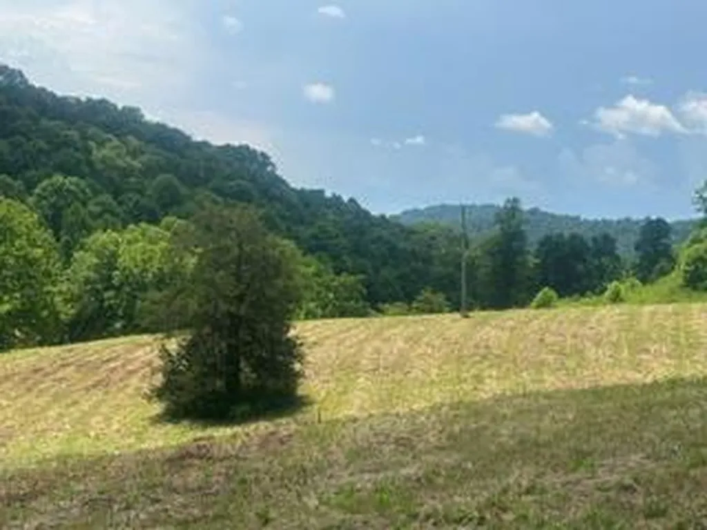 200 Rough Point Lane Whitleyville TN 38588