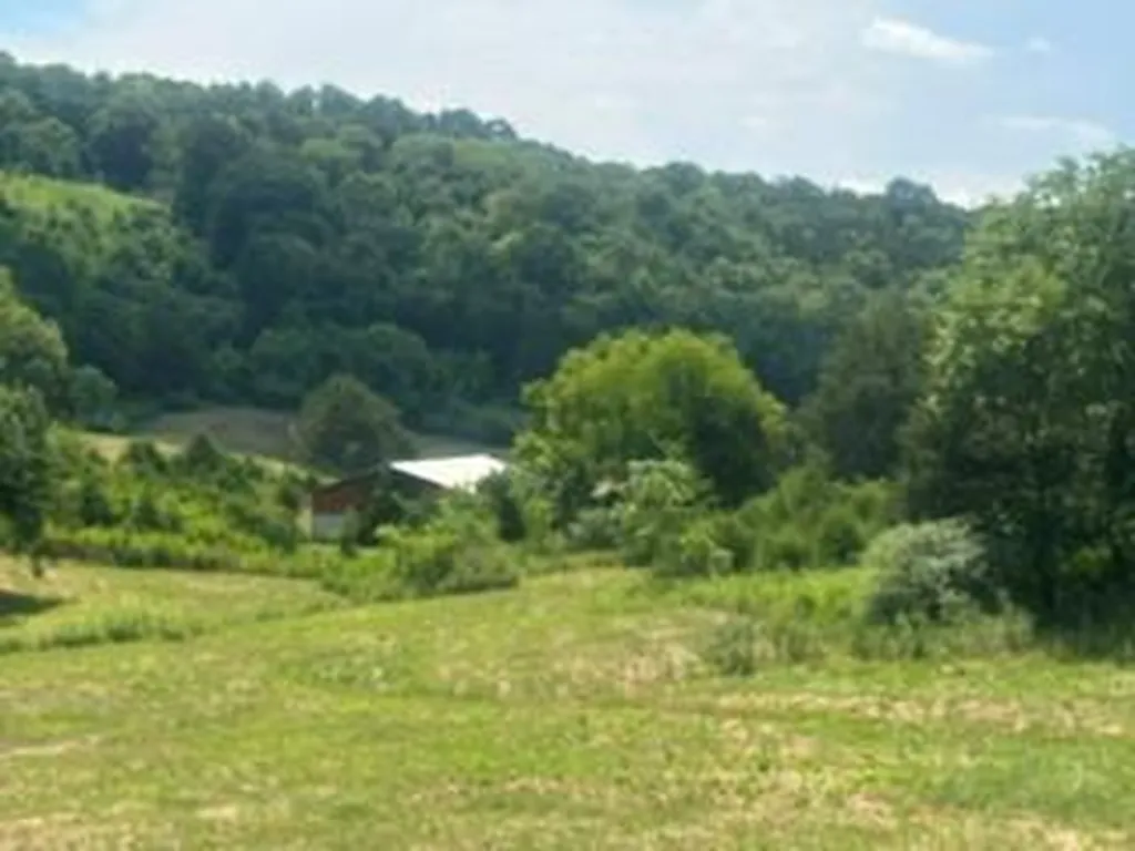 200 Rough Point Lane Whitleyville TN 38588