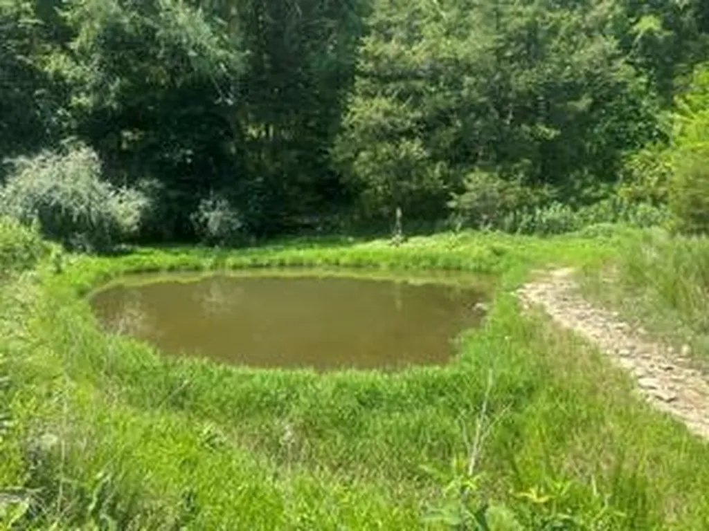 200 Rough Point Lane Whitleyville TN 38588