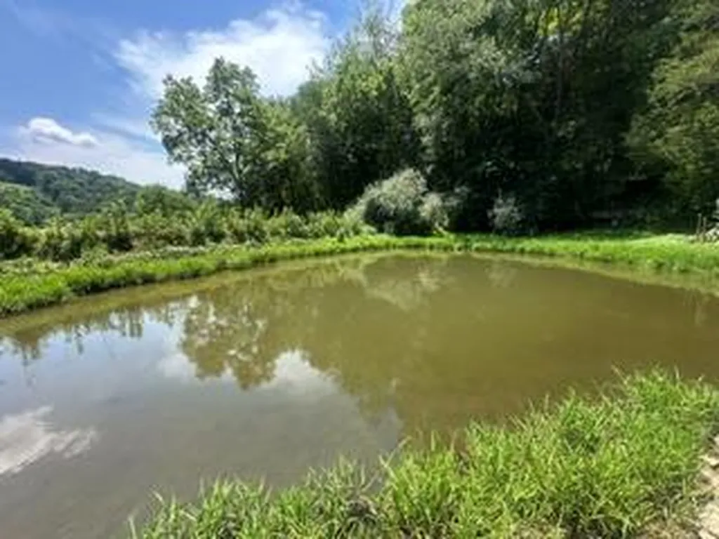 200 Rough Point Lane Whitleyville TN 38588