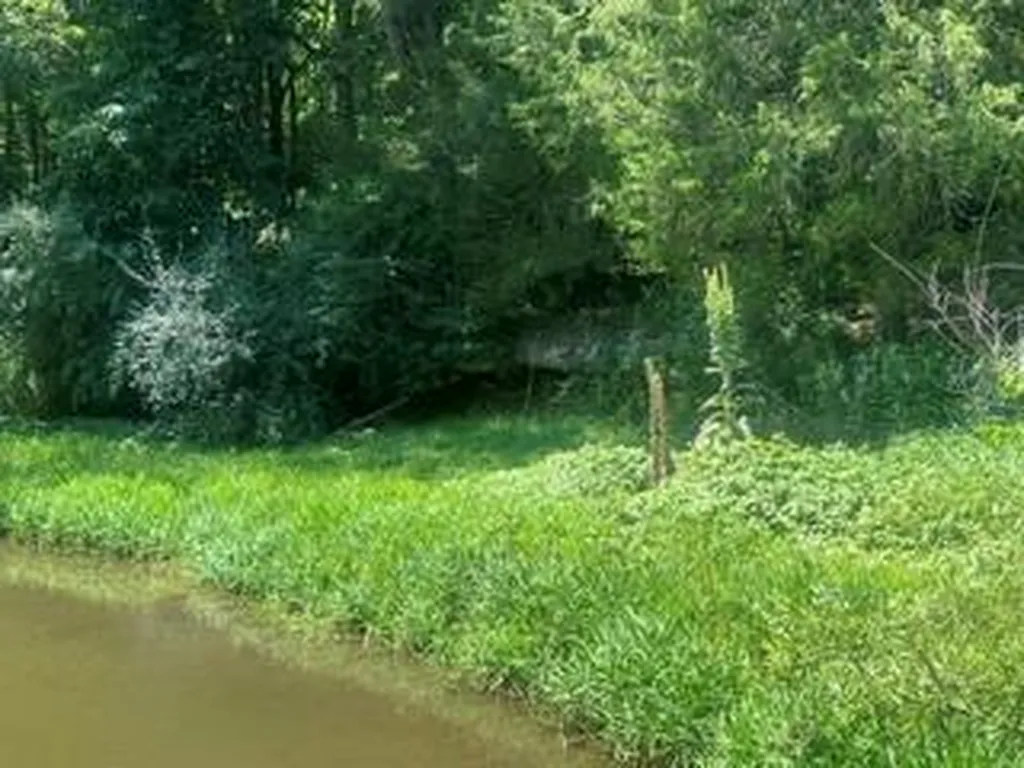 200 Rough Point Lane Whitleyville TN 38588