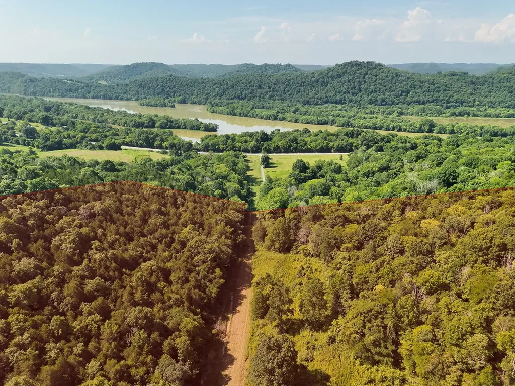 200 Rough Point Lane Whitleyville TN 38588