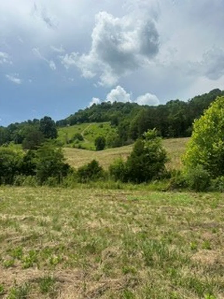 200 Rough Point Lane Whitleyville TN 38588