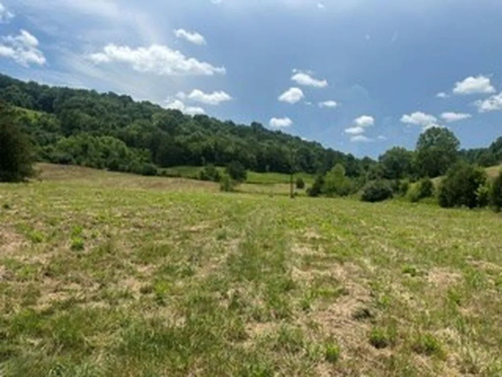 200 Rough Point Lane Whitleyville TN 38588