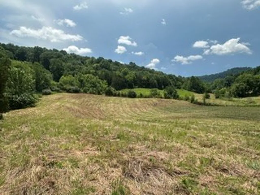 200 Rough Point Lane Whitleyville TN 38588