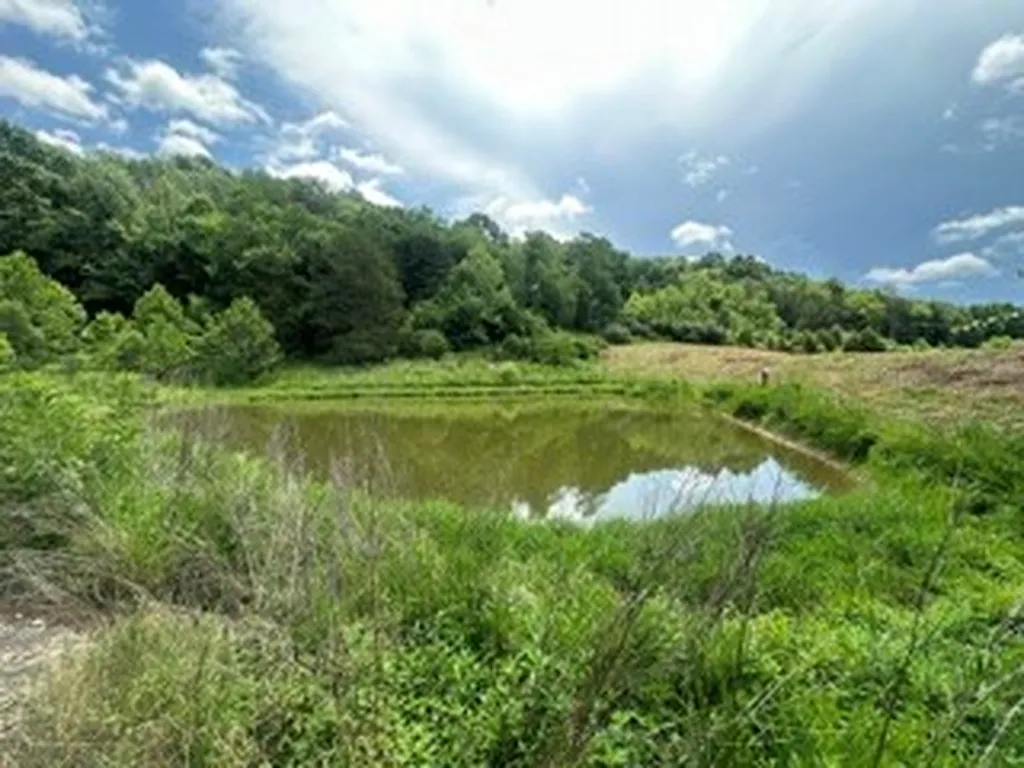 200 Rough Point Lane Whitleyville TN 38588