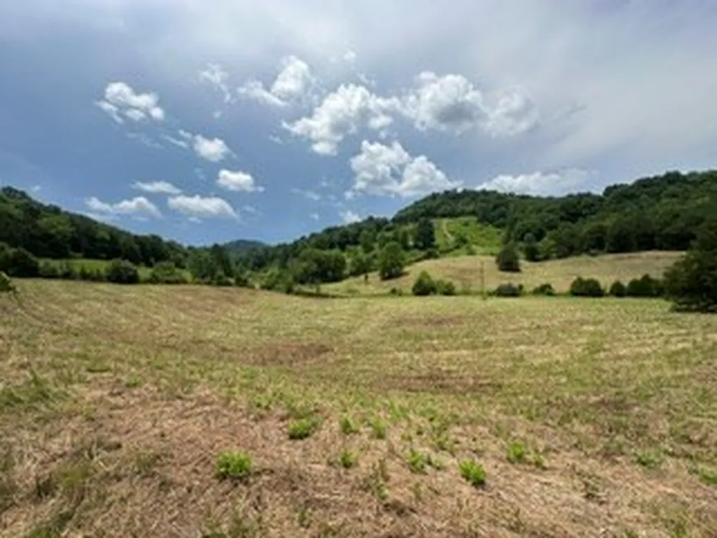 200 Rough Point Lane Whitleyville TN 38588