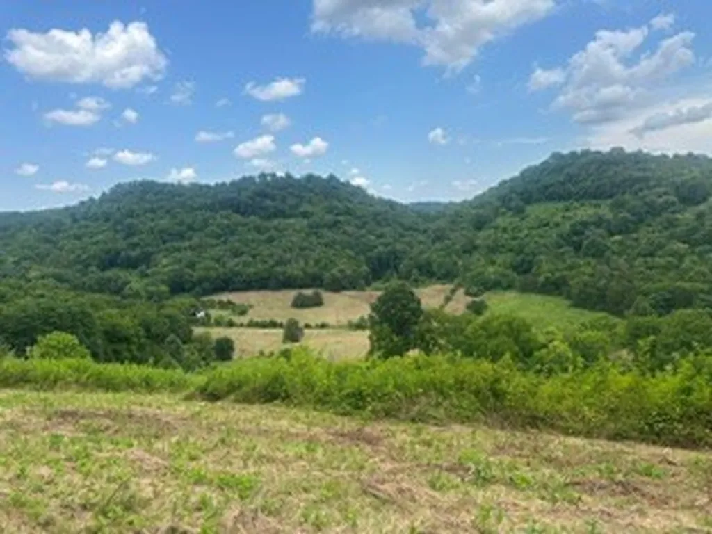 200 Rough Point Lane Whitleyville TN 38588