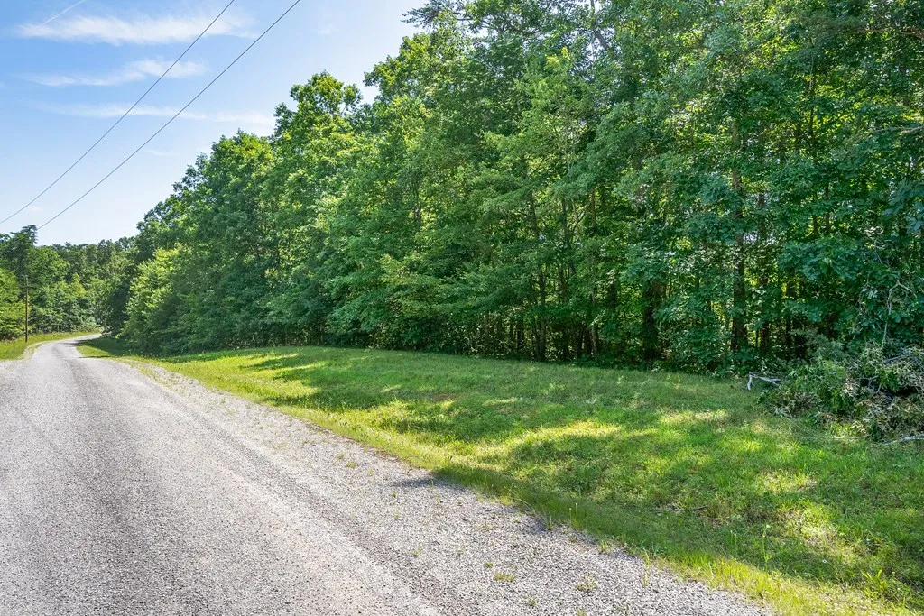 Lot 25 Parkview Drive Monterey TN 38574
