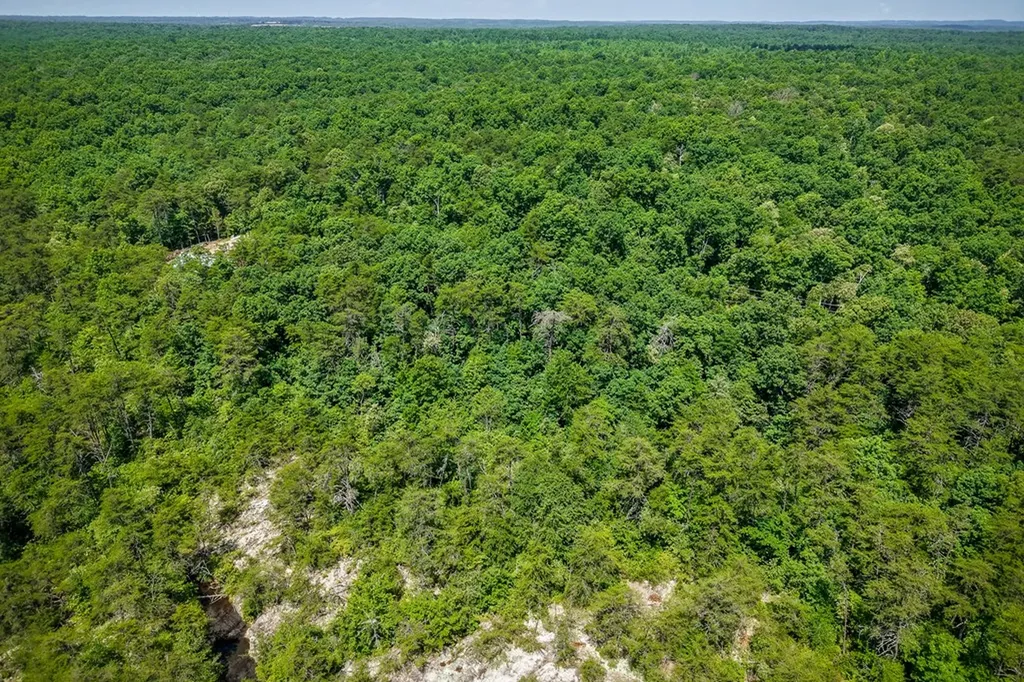 Lot 25 Parkview Drive Monterey TN 38574