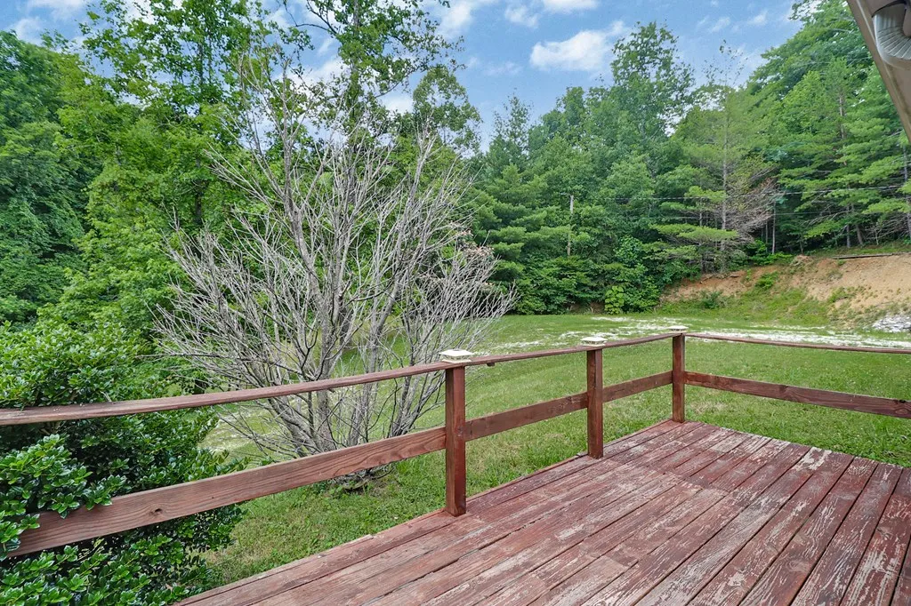 395 Ashley Lane Oneida TN 38556