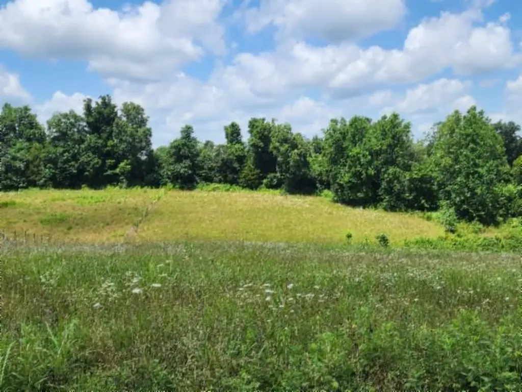 Lot 10 Rose Hill Road Red Boiling Springs TN 37150