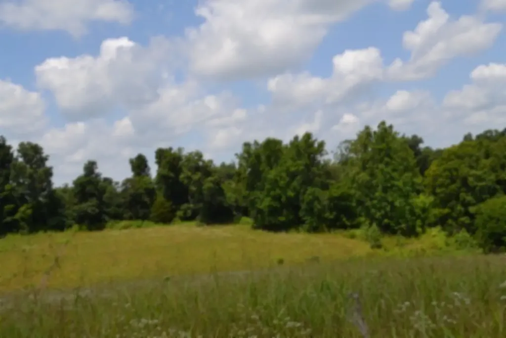 Lot 10 Rose Hill Road Red Boiling Springs TN 37150