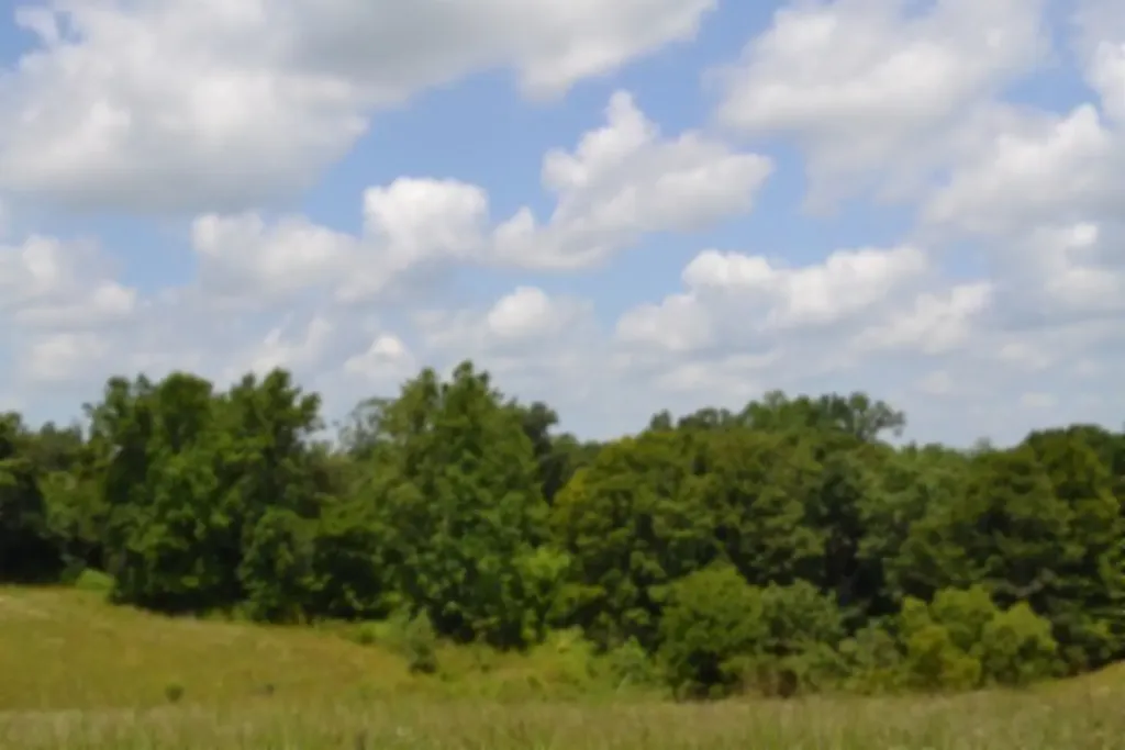 Lot 10 Rose Hill Road Red Boiling Springs TN 37150